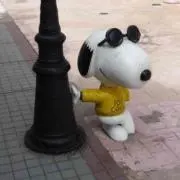 まいたけさんの画像