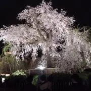 monchiの画像