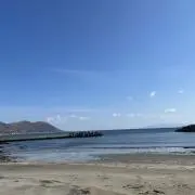 みつばち