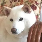 ソウタロス