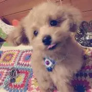かずっぺ