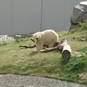 ゆでたまごの画像