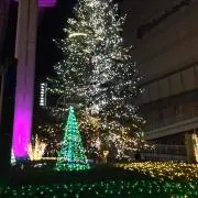 まなりプロフィール参照最終大幅値下げ
