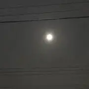 もちの画像