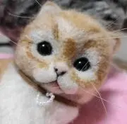 nyantaの画像