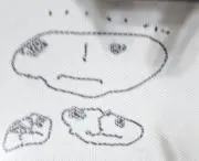 クロマメの画像