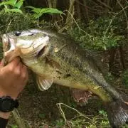 かんぴー