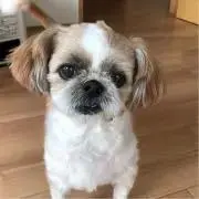 みちよ