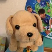 みいの画像
