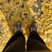 でいの画像