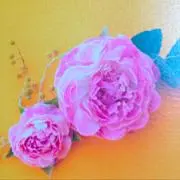桜♡