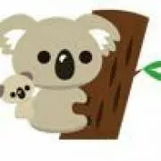 コアラの画像