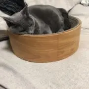 ヘ音記号の画像