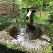 たけちゃの画像