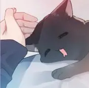 みゃお