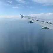 ようこの画像