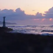 ガリガリ君