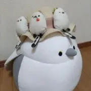 ちまえながの画像