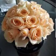 レティの画像