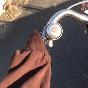みの画像