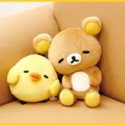 のん吉の画像