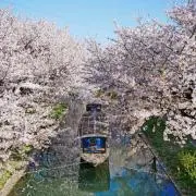 リョウの画像