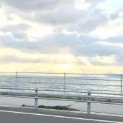 yuzurin
