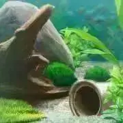 Sioの画像