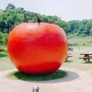 ろくの画像