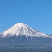 tetsの画像