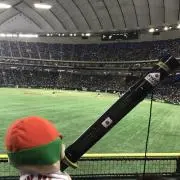 メガネ坊やの画像