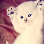 milk♡の画像