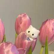 いちごの画像