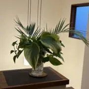 メルメル