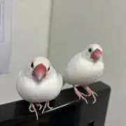 まさちんの画像