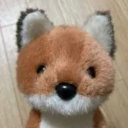 kituの画像