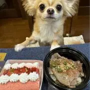 マツ