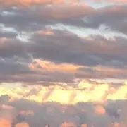 Emaの画像