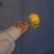 しろの画像