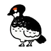 わんの画像