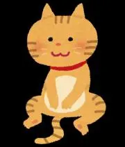 ねこ巾着の画像