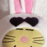 ぬまの画像