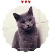 Michelleの画像