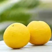 ひゅうがの画像