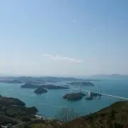 はなの画像