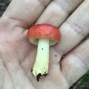 とと【必ずプロフ読んでください♪】