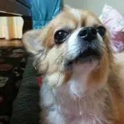 まんまん