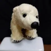 kuma
