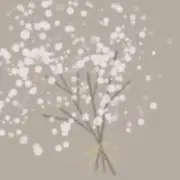 totopuの画像