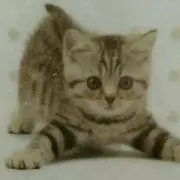 木村
